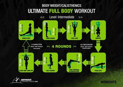 The only weight you need is your own bodyweight! Whether you're an absolute beginner, or a more experienced athlete, this program will challenge you in new ways. . Complete calisthenics level 15 bundle free download